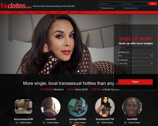 TsDates Logo